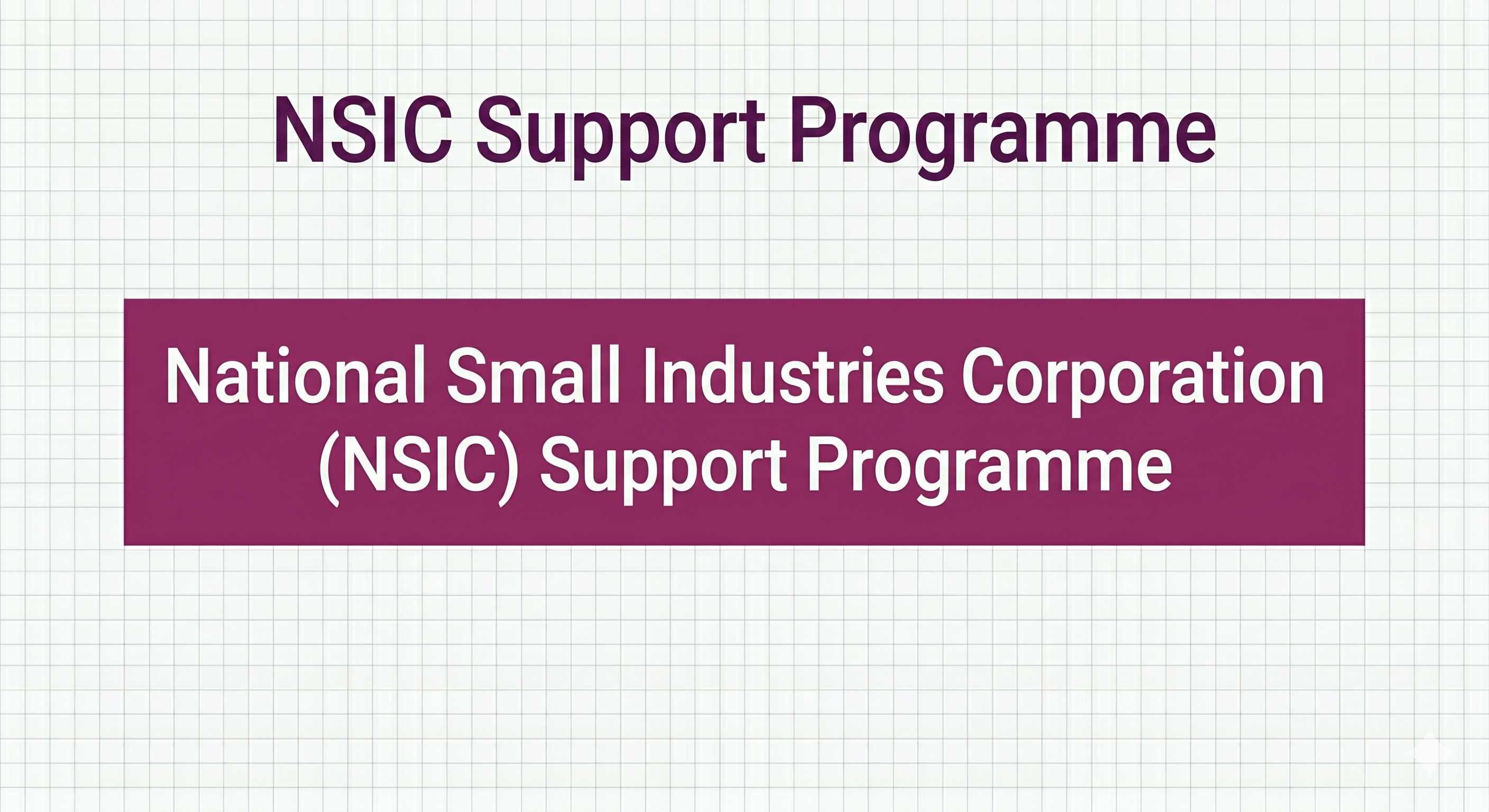 NSIC Support Programme