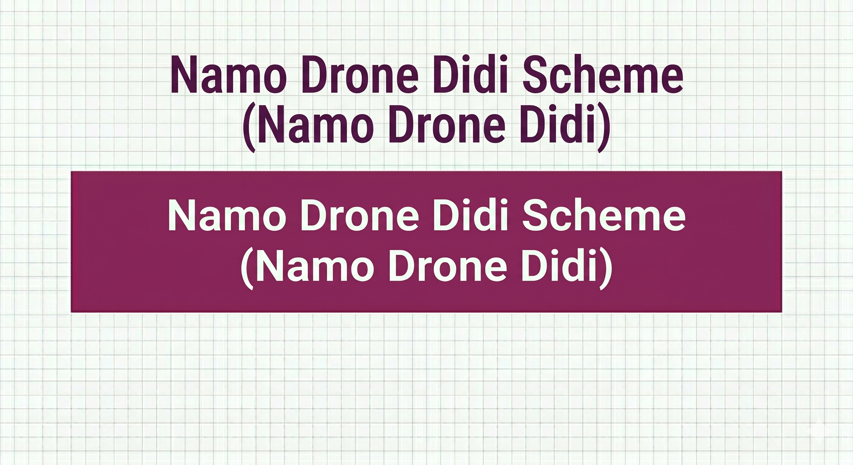 Namo Drone Didi Scheme